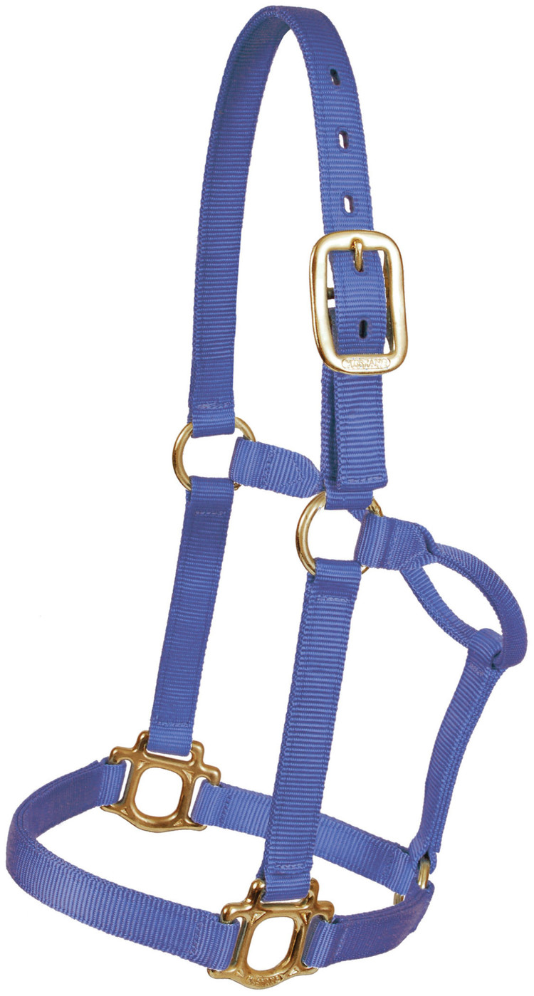 Mustang Traditional 1" Nylon Halter
