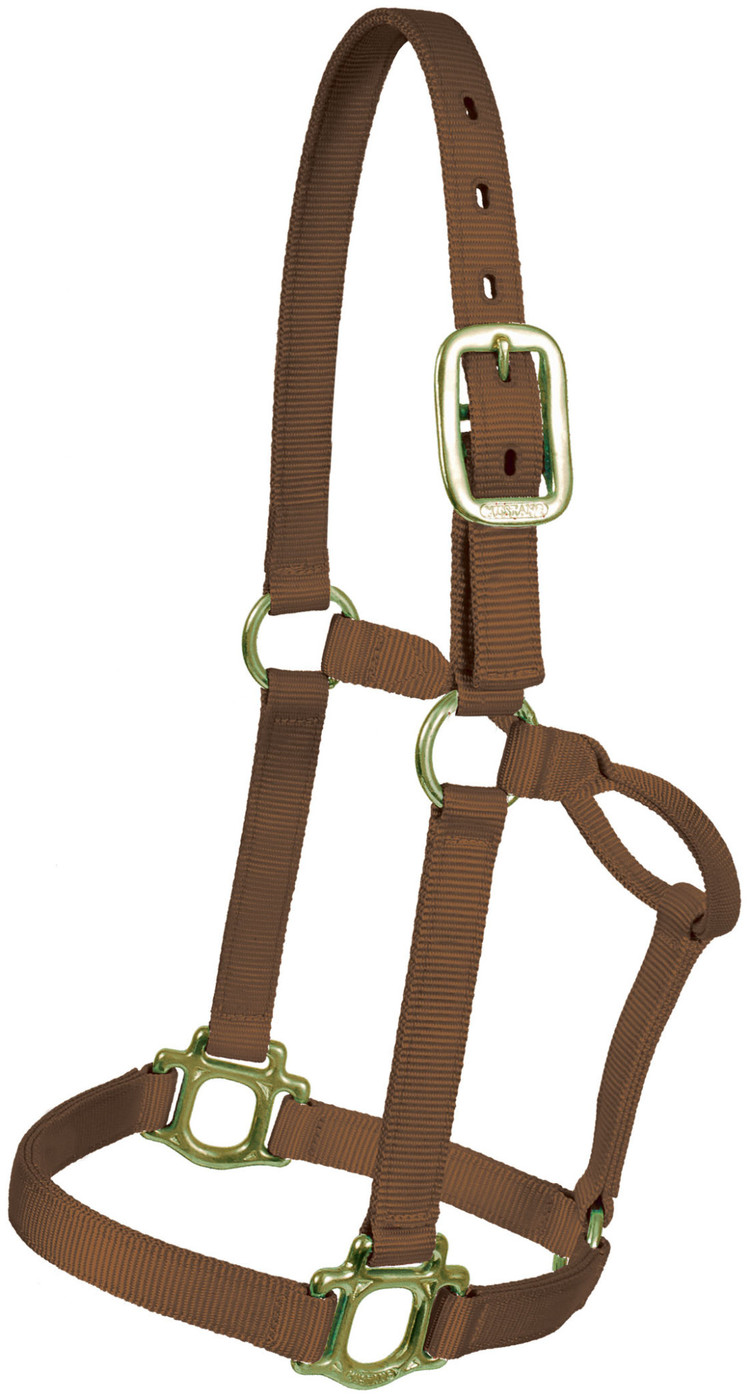 Mustang Traditional 1" Nylon Halter