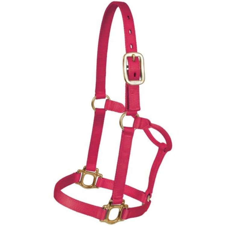 Mustang Traditional 1" Nylon Halter