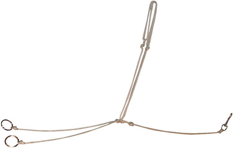 Mustang Trainers String Martingale