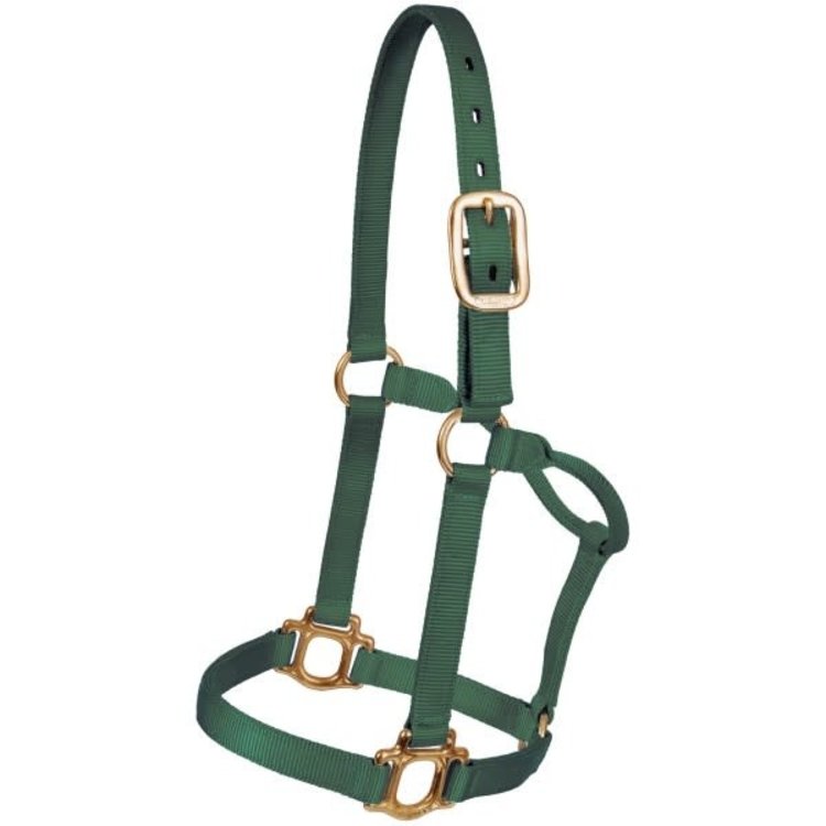 Mustang Traditional 1" Nylon Halter
