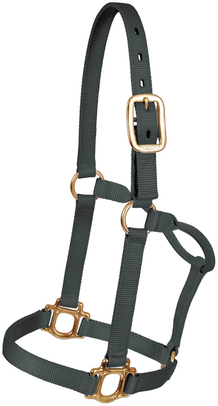 Mustang Traditional 1" Nylon Halter