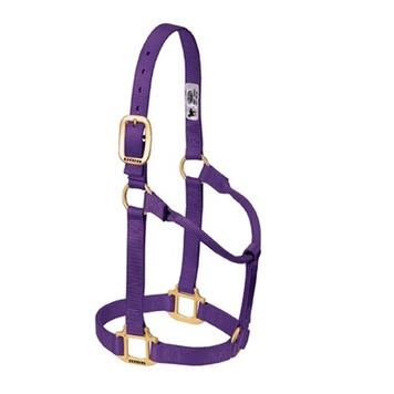 Classic western raw leather halter with carabiner hook