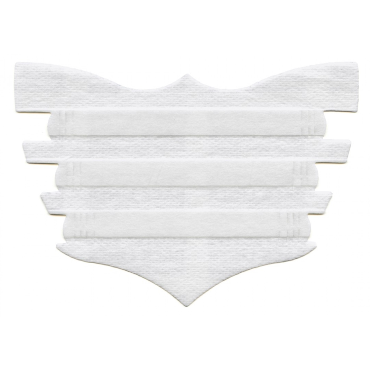 Flair Flair Equine Nasal Strips Package of 6