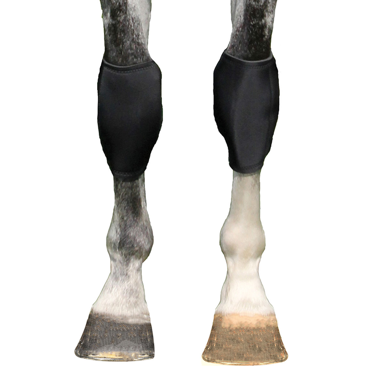 Back On Track Knee Boots