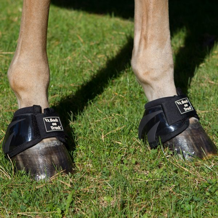 Back On Track Royal Performance Bell Boots