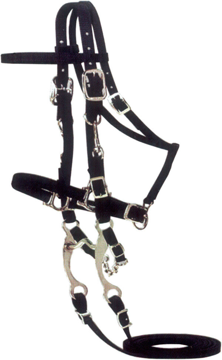 Mustang Halter/Bridle Combination