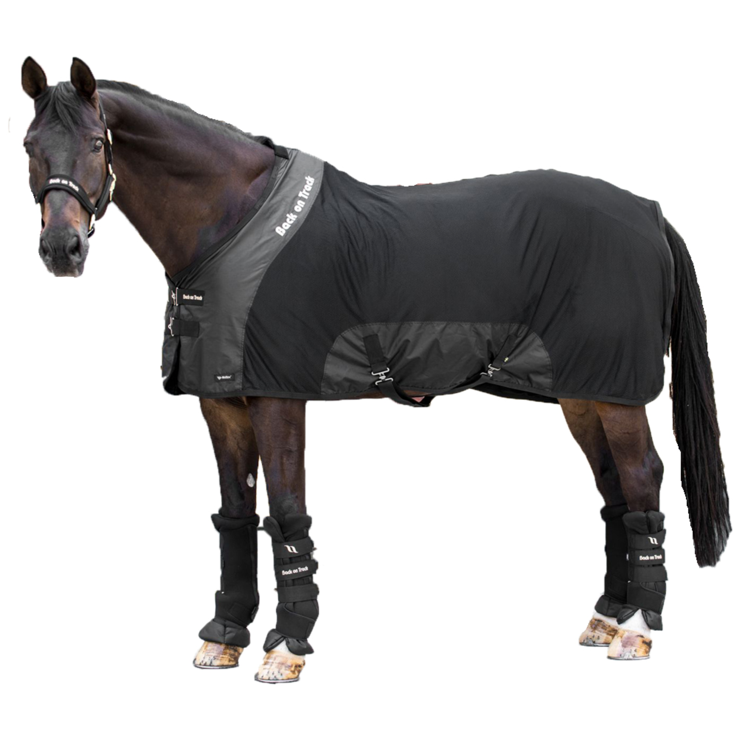 Therapeutic Horse Mesh Neck Cover, Horse Blanket Accessory