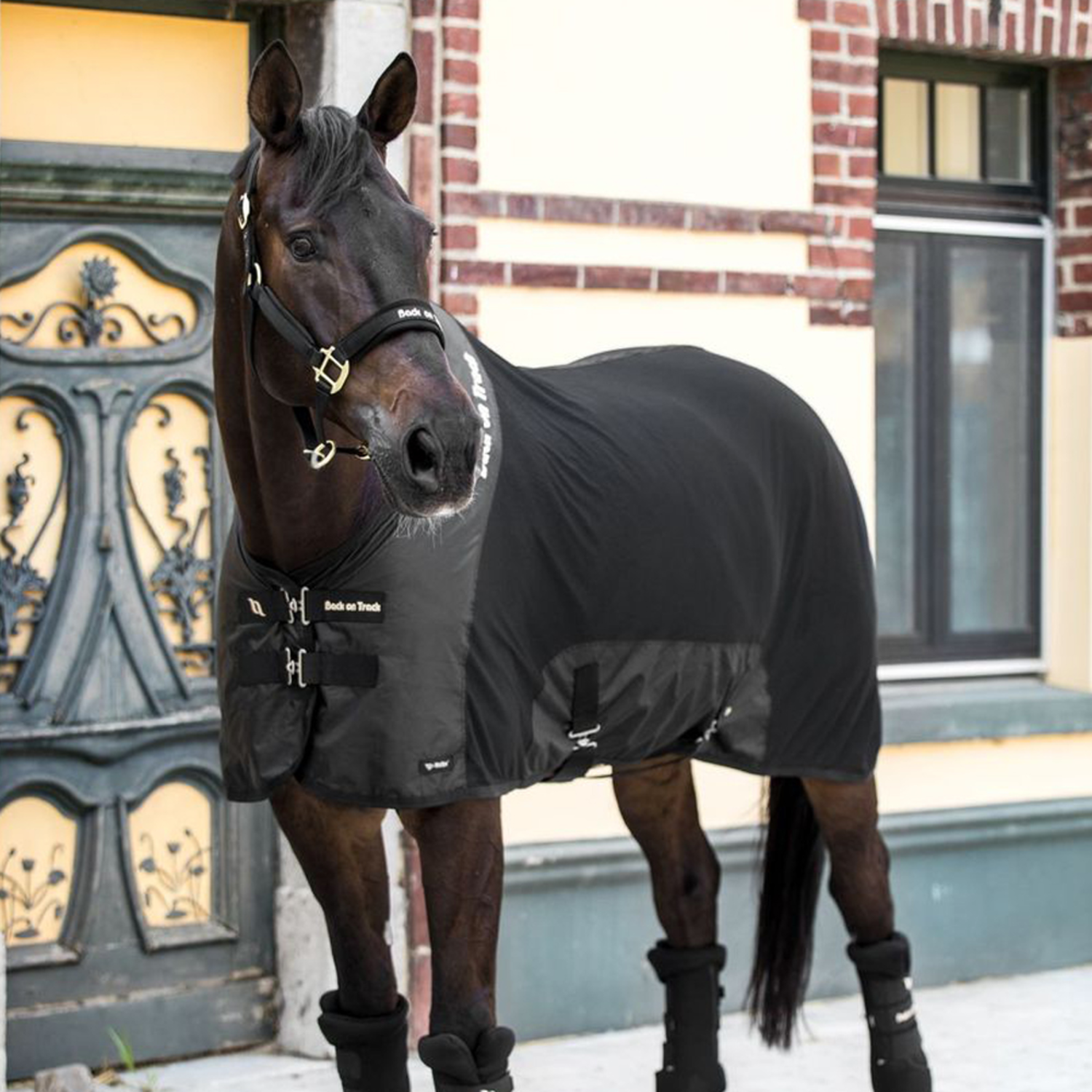 Royal Mesh Rug Deluxe Black - Frontier Western Shop