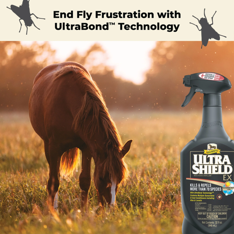 Absorbine UltraShield EX Fly Spray