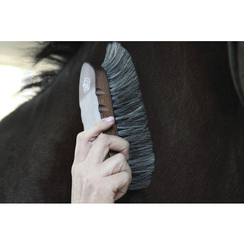 Tail Tamer Wood Large Horse Hair Dandy Brush