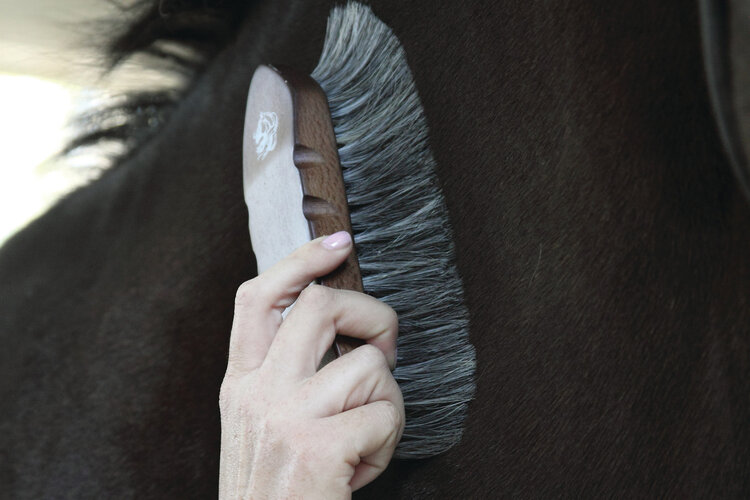 Tail Tamer Wood Large Horse Hair Dandy Brush