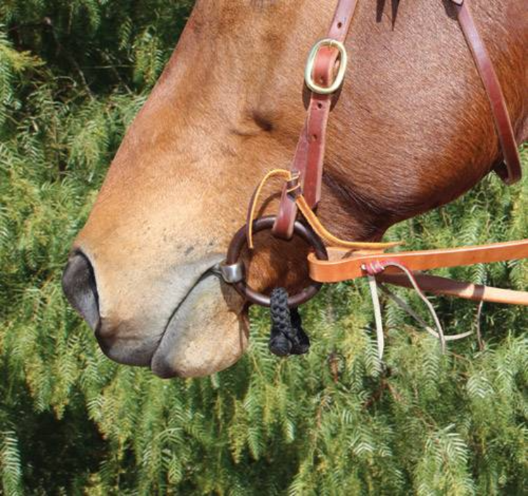 Professional's Choice Bob Avila Nylon Bit Hobble