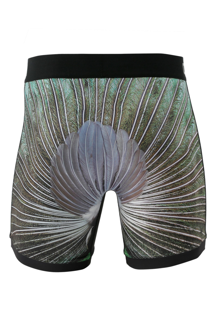 Cinch 6" Peacock Boxer Brief Multi