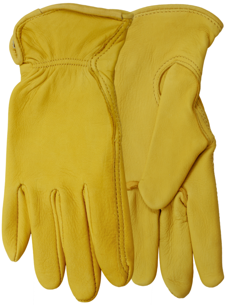 Watson Gloves Women's Range Rider Lined Gloves