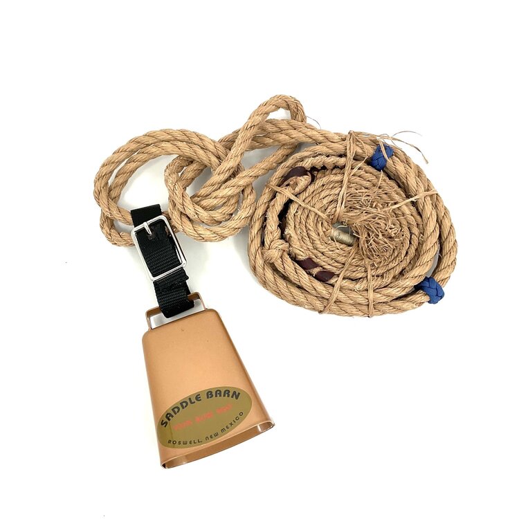 Saddle Barn Steer Riding Package