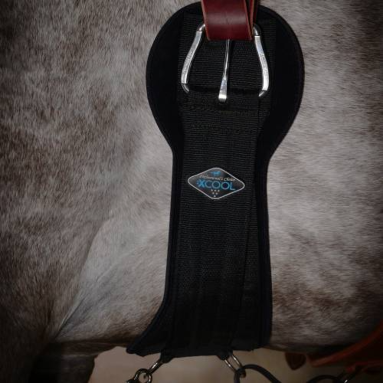 Professional's Choice 2XCool Cinch Black