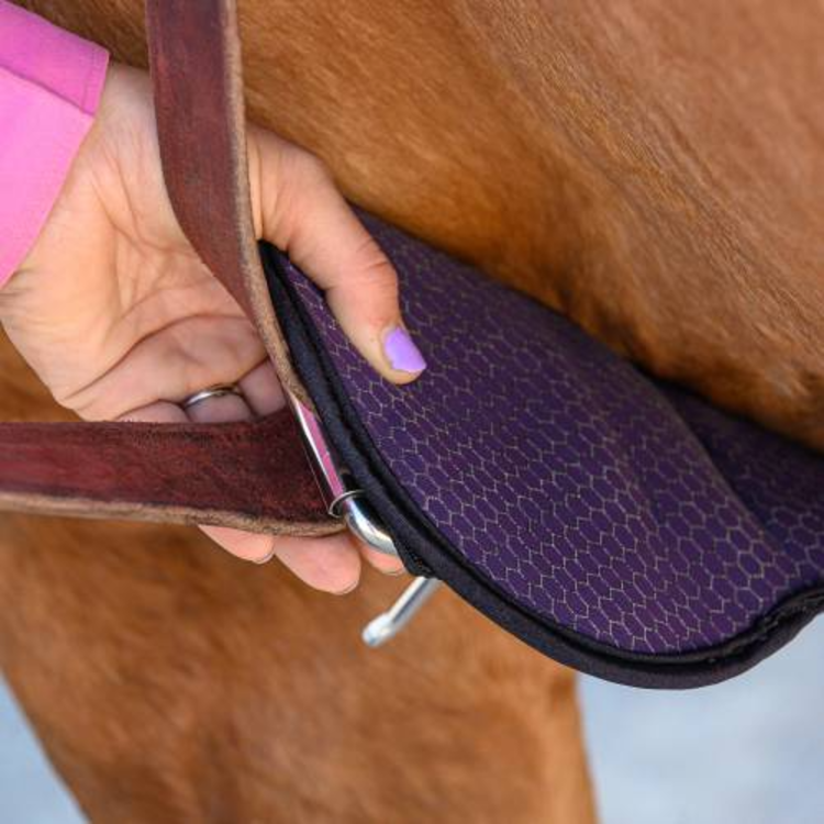 Professional's Choice 2XCool Cinch Black