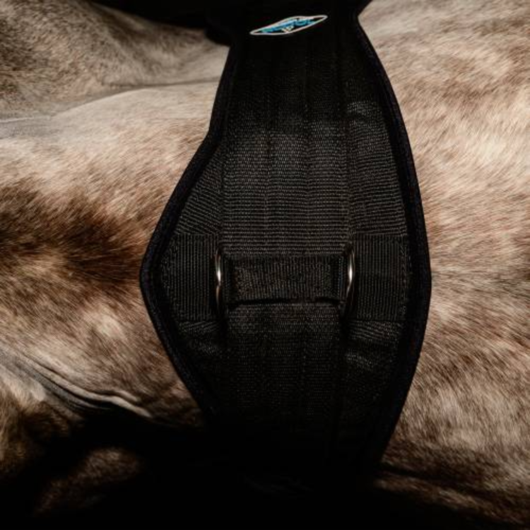 Professional's Choice 2XCool Cinch Black