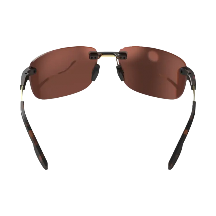 BEX Sunglasses BRACKLEY X Tortoise/ Brown