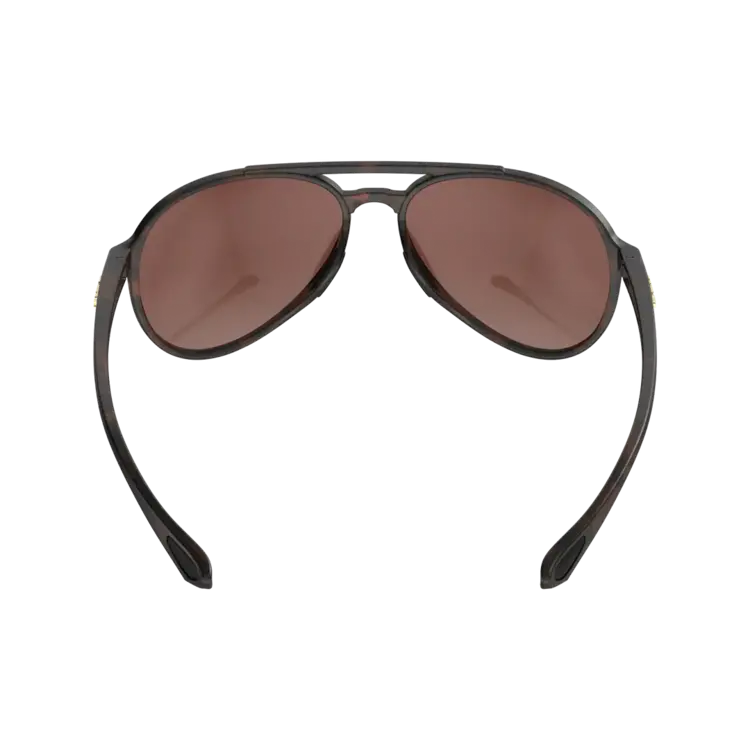 BEX Sunglasses WESLEY LITE Tortoise Brown/Brown/Silver