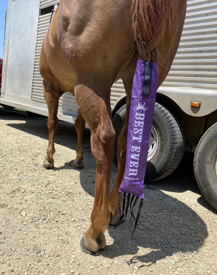 Best Ever Pads Best Ever Tailbag Magenta