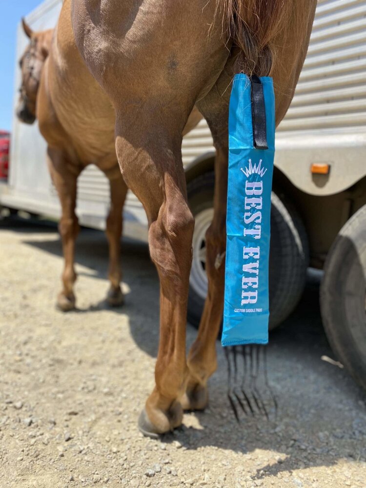 Best Ever Pads Best Ever Tailbag Teal
