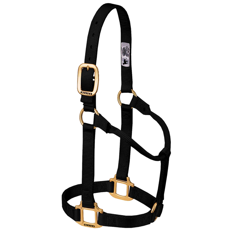 Weaver Leather Non Adjustable Nylon Halter Black