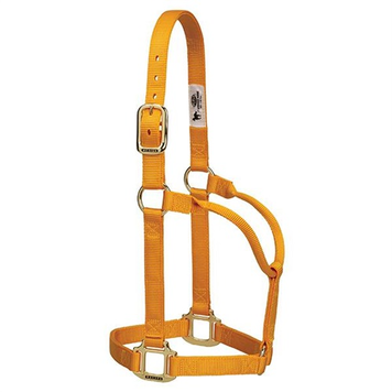 Weaver Leather Non Adjustable Nylon Halter Mustard