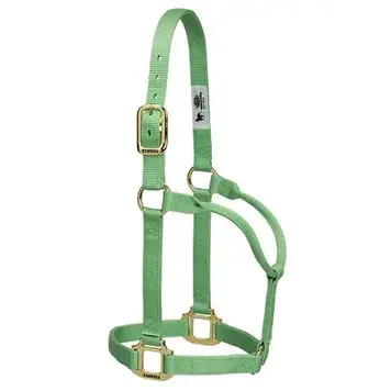Weaver Leather Non Adjustable Nylon Halter Pistachio Green