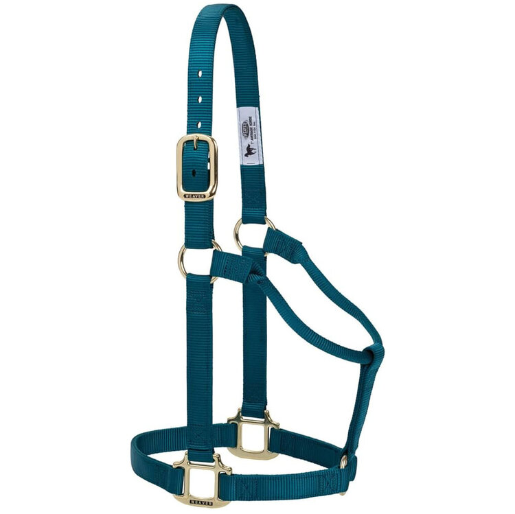 Weaver Leather Non Adjustable Nylon Halter Teal