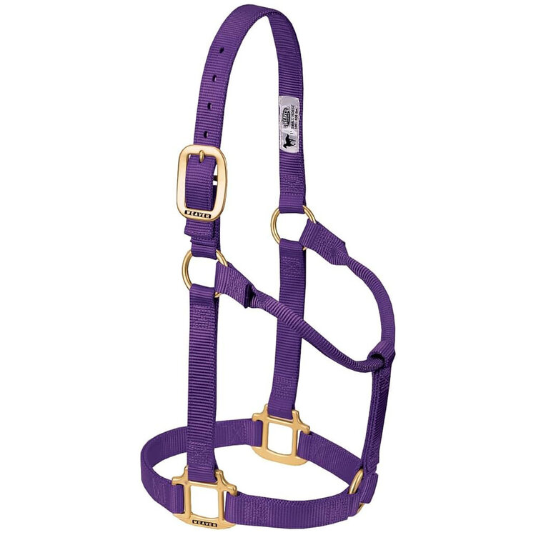 Weaver Leather Non Adjustable Nylon Halter Purple