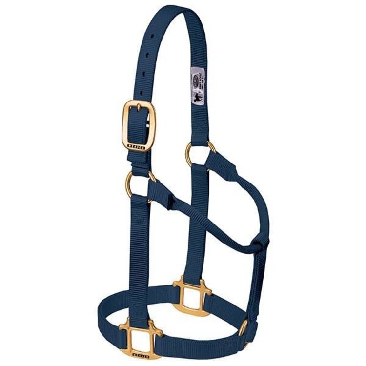 Weaver Leather Non Adjustable Nylon Halter Navy