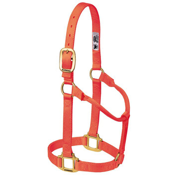 Weaver Leather Non Adjustable Nylon Halter Orange