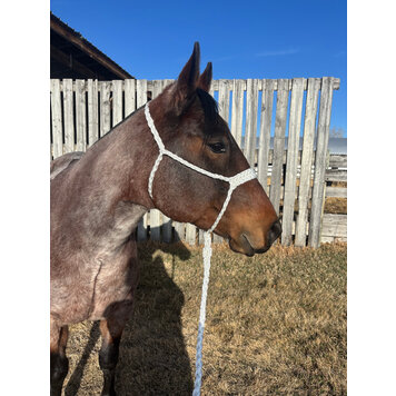 Saddle Mountain Braiding Muletape Brute Halter White