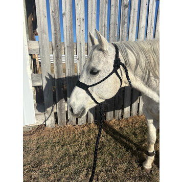 Saddle Mountain Braiding Muletape Brute Halter Black