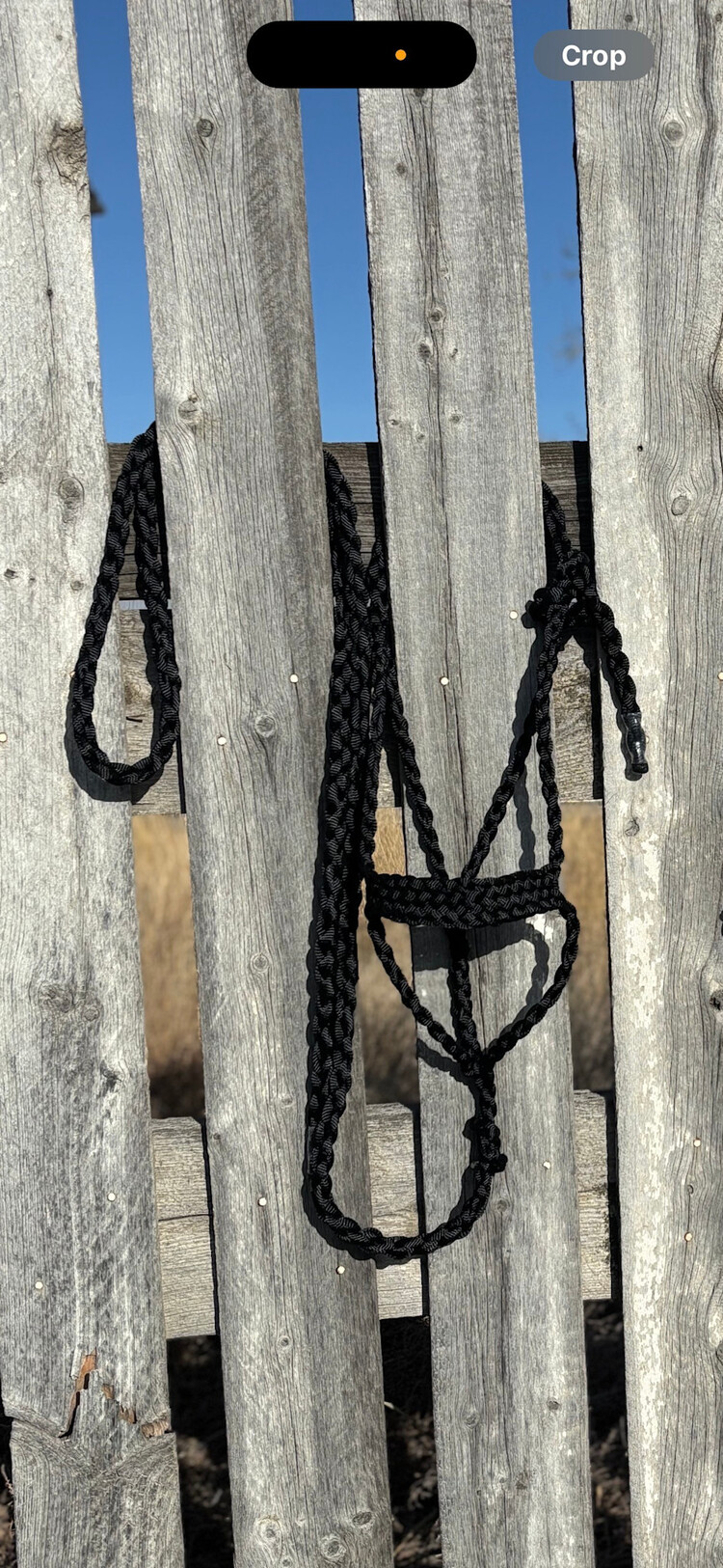 Saddle Mountain Braiding Muletape Brute Halter Black