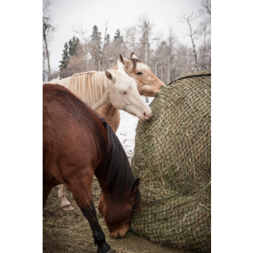 EcoNets Large Round Bale Slow Feeder - Openings