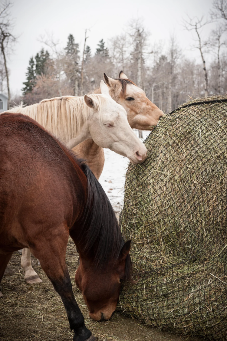 EcoNets Large Round Bale Slow Feeder - Openings