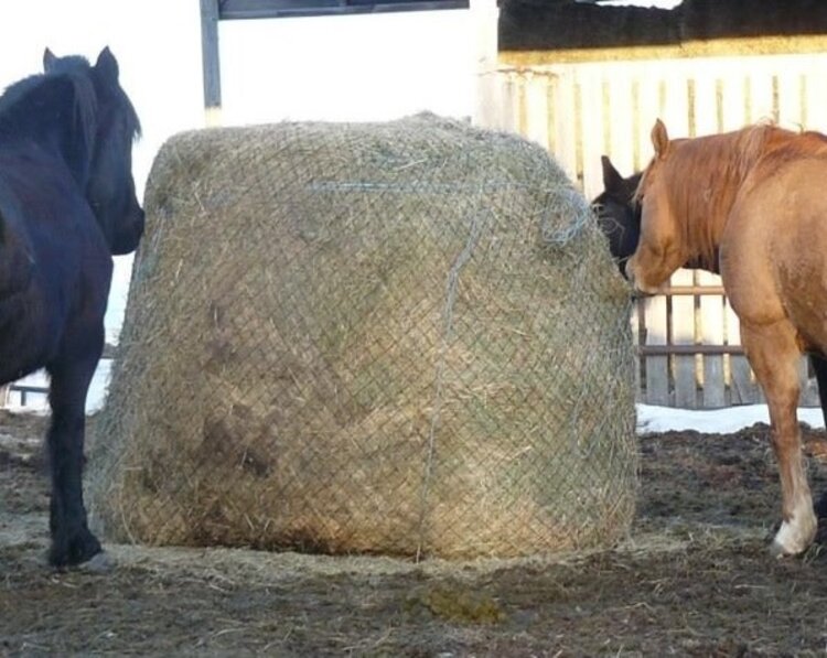 EcoNets Large Round Bale Slow Feeder - Openings