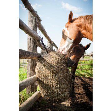 EcoNets Mini Slow Feeder - Openings