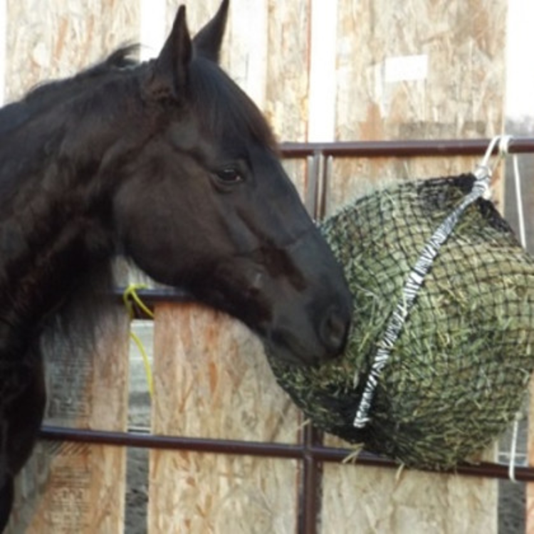 EcoNets Mini Slow Feeder - Openings