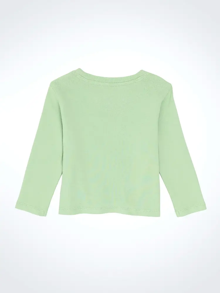 Wrangler Infant Toddler Horses Mint Green