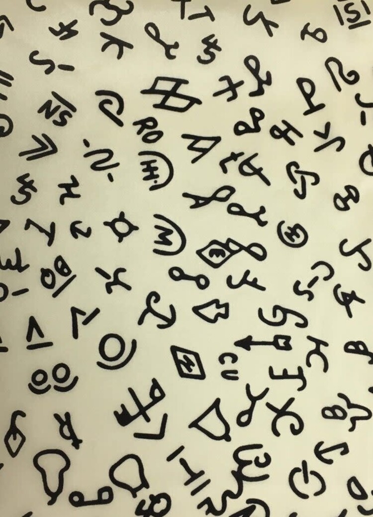 Wyoming Traders Ivory Brand Silk Scarf