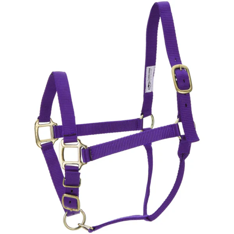 Tough 1 Premium Nylon Halter Purple