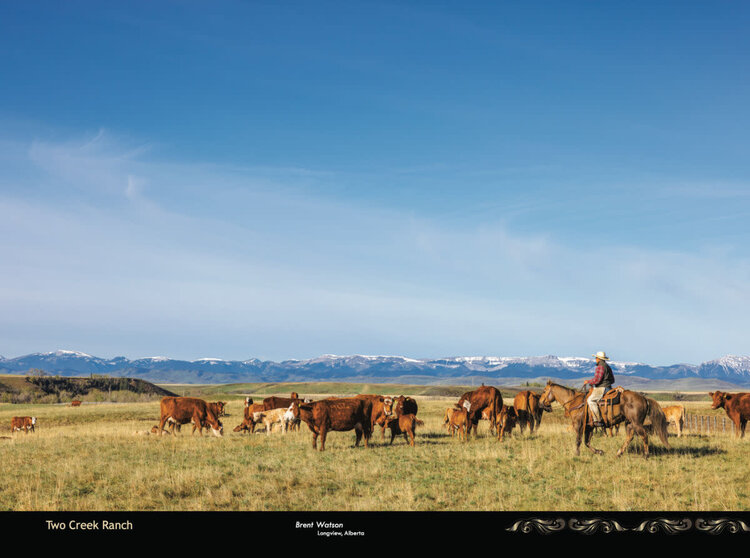 Kim Taylor Photography 2026 Working Ranches Calendar