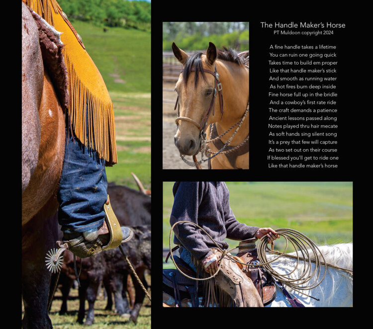 Kim Taylor Photography 2026 On The Trail Day Planner