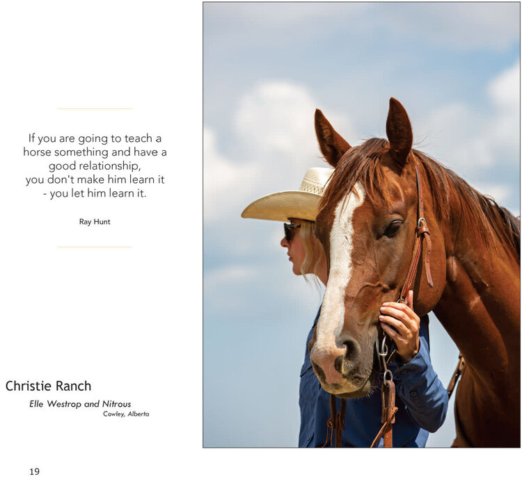 Kim Taylor Photography 2026 On The Trail Day Planner