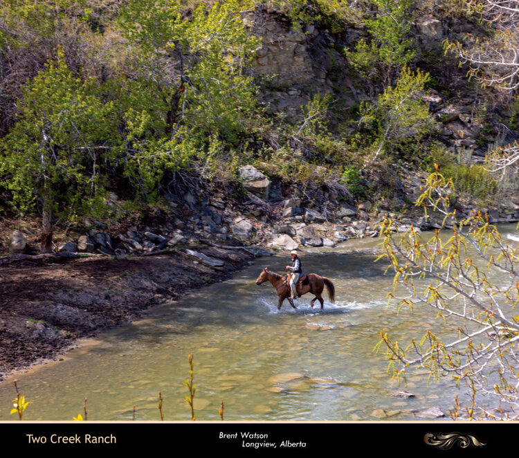 Kim Taylor Photography 2026 On The Trail Day Planner