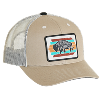 Rock & Roll Denim Bison Neutral Patch Cap Tan